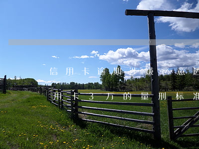 信用卡逾期涉嫌恶意透支两千元(恶意透支信用卡3万的量刑标准)