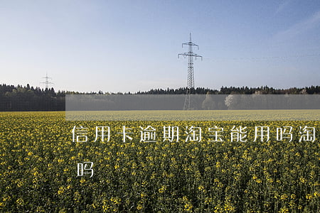 信用卡逾期淘宝能用吗 淘宝不能用信用卡了吗