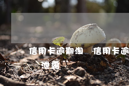 信用卡逾期淘寶(信用卡逾期淘寶買東西地址會泄露嗎)