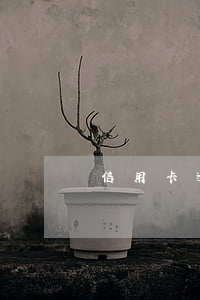 信用卡逾期淘寶做貸款嗎