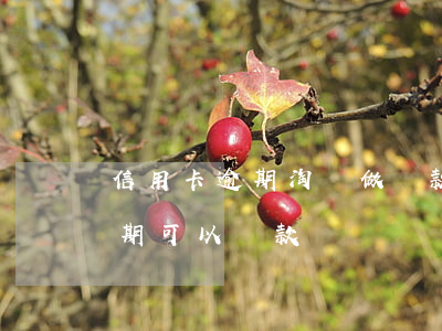 信用卡逾期淘寶做貸款買車(欠信用卡沒有逾期可以貸款買車嗎)