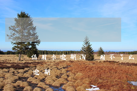 信用卡逾期淘寶用不了么(淘寶上處理信用卡逾期)