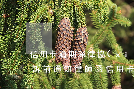 信用卡逾期深律協(xié)會(huì)訴前通知 律師函信用卡逾期