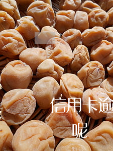 信用卡逾期深戶扣分嗎(信用卡逾期多久是黑戶呢?)