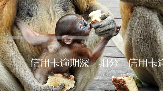 信用卡逾期深戶扣分嗎(信用卡逾期深戶扣分嗎)
