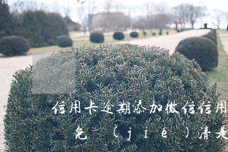 信用卡逾期添加微信(信用卡逾期添加微信說減免結(jié)清是真的嗎)