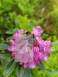 信用卡逾期清收人員