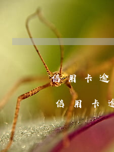 信用卡逾期清收經(jīng)驗分享(清除信用卡逾期記錄)