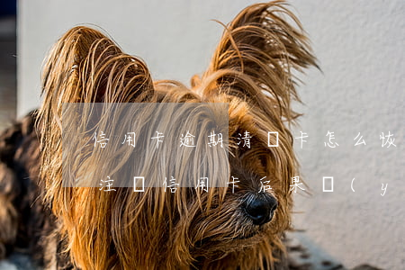 信用卡逾期清銷卡怎么恢復(fù)(逾期后注銷信用卡后果嚴(yán)重)