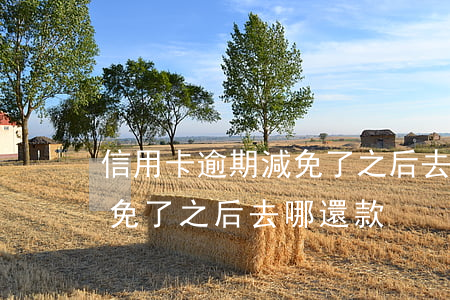 信用卡逾期減免了之后去哪還(信用卡逾期減免了之后去哪還款)