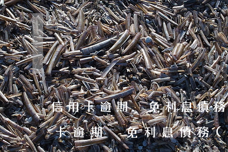 信用卡逾期減免利息債務(wù)重組(信用卡逾期減免利息債務(wù)重組)