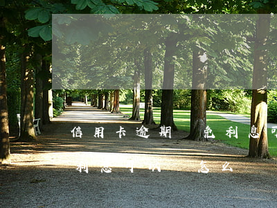 信用卡逾期減免利息可以嗎(信用卡逾期減免利息可以嗎怎么辦)