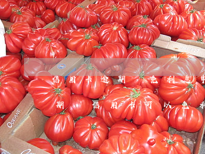 信用卡逾期減免利息申請(qǐng)-逾期還信用卡可以免利息嗎
