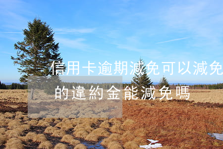信用卡逾期減免可以減免本金嗎-欠信用卡的違約金能減免嗎