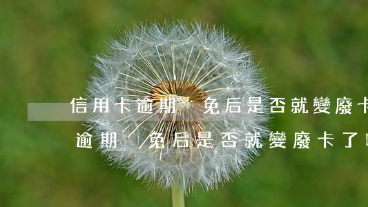 信用卡逾期減免后是否就變廢卡了-信用卡逾期減免后是否就變廢卡了呢