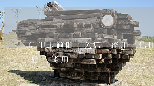 信用卡逾期減免后還能用嗎(信用卡逾期減免后還能用嗎)