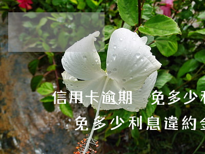 信用卡逾期減免多少利息違約金(信用卡逾期減免多少利息違約金)