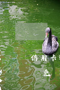 信用卡逾期減免手續(xù)費(逾期費用能減免嗎)