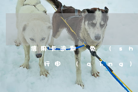 信用卡逾期減免書(shū)是什么意思(向銀行申請(qǐng)減免信用卡逾期利息怎么申請(qǐng))