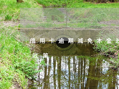 信用卡逾期減免本金政策(信用卡逾期有減免政策?)