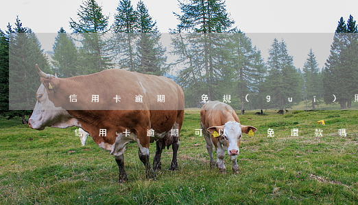 信用卡逾期減免規(guī)則 哈爾濱銀行信用卡逾期可以減免還款嗎