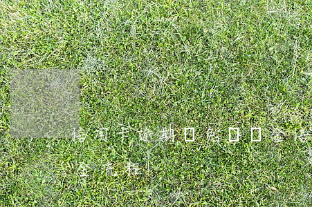 信用卡逾期減免違約金(信用卡逾期減免違約金流程)