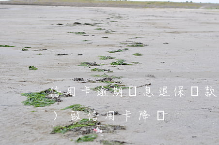 信用卡逾期減息退保(貸款逾期會導(dǎo)致信用卡降額)