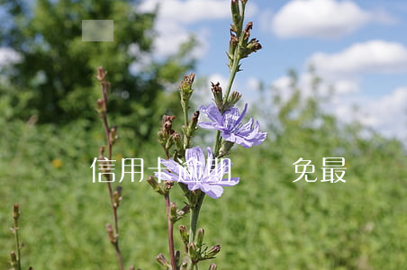 信用卡逾期減減免(最終減免通知 信用卡)
