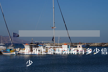 信用卡逾期湖南有多少(信用卡逾期湖南有多少)