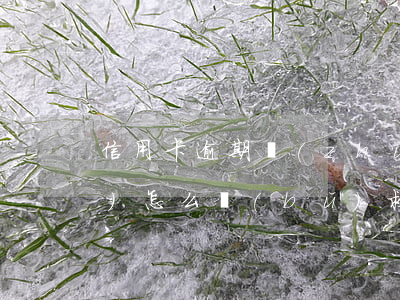 信用卡逾期準(zhǔn)備上報(bào)怎么補(bǔ)救-逾期申報(bào)怎么補(bǔ)救