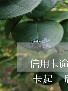信用卡逾期準(zhǔn)備起訴了(欠信用卡起訴后多長(zhǎng)時(shí)間執(zhí)行)