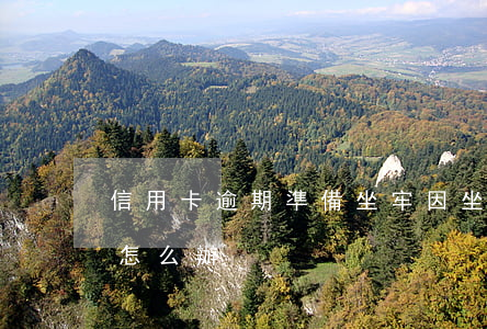 信用卡逾期準備坐牢(因坐牢信用卡逾期利息怎么辦)