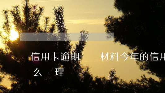 信用卡逾期準備材料(今年的信用卡逾期有什么處理)