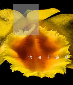 信用卡逾期溫馨提示語(逾期告示)