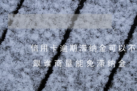 信用卡逾期滞纳金可以不还吗(还逾期信用卡跟谁商量能免滞纳金)