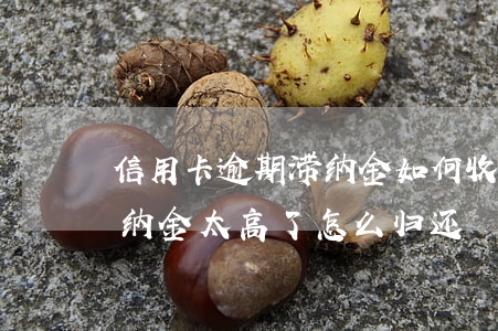 信用卡逾期滞纳金如何收取(信用卡逾期了滞纳金太高了怎么归还)