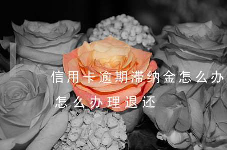 信用卡逾期滞纳金怎么办 信用卡逾期滞纳金怎么办理退还