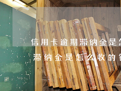 信用卡逾期滞纳金是怎么收的-信用卡逾期滞纳金是怎么收的钱