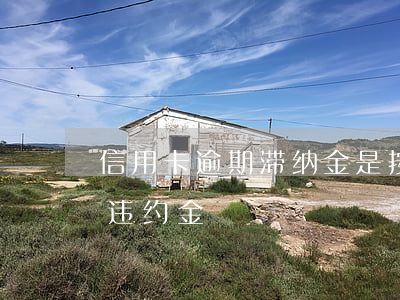 信用卡逾期滞纳金是按天扣吗(信用卡 滞纳金 违约金)