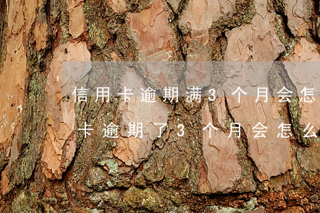信用卡逾期满3个月会怎么样-好几张信用卡逾期了3个月会怎么样