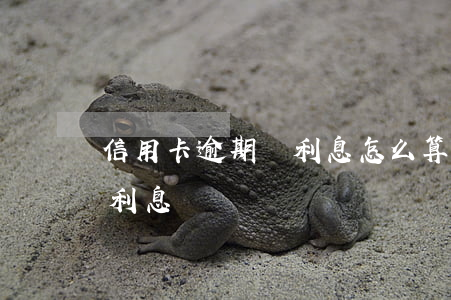 信用卡逾期滯利息怎么算(各銀行信用卡逾期利息)