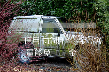 信用卡逾期滯納金厲害(還逾期信用卡跟誰商量能免滯納金)