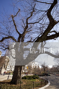 信用卡逾期滯納金可以減免利息嗎(欠信用卡的違約金能減免嗎)