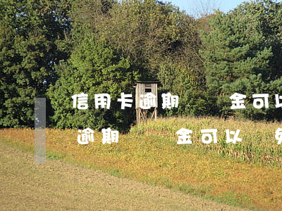 信用卡逾期滯納金可以減免嗎華夏-信用卡逾期滯納金可以減免嗎華夏銀行