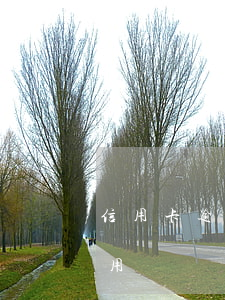 信用卡逾期滯納金合法-滯納金逾期影響信用嗎