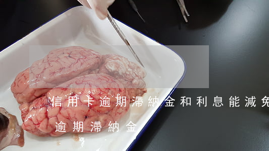 信用卡逾期滯納金和利息能減免嗎-信用卡 逾期 滯納金