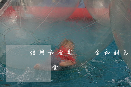 信用卡逾期滯納金和利息要還嗎(信用卡 逾期 滯納金)