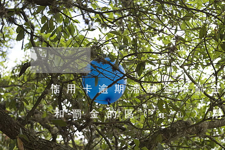 信用卡逾期滯納金和罰金(信用卡逾期滯納金和罰金的區(qū)別)