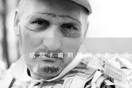 信用卡逾期滯納金怎么交(交通處罰逾期滯納金)