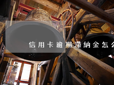 信用卡逾期滯納金怎么算6